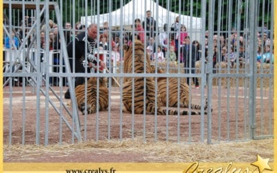 Location tigre vidéos Saint Chamond