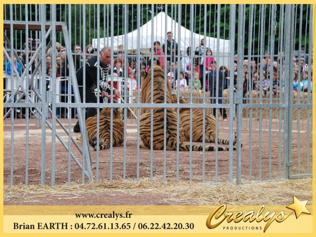 Location tigre vidéos Vienne