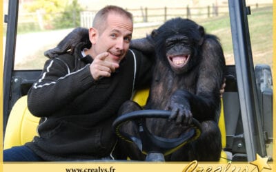 Location chimpanzé vidéos Chantilly