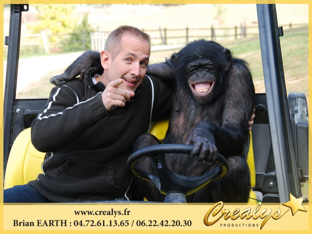 Location chimpanzé vidéos Sannois