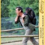 Location chimpanzé Vidéos Dinan