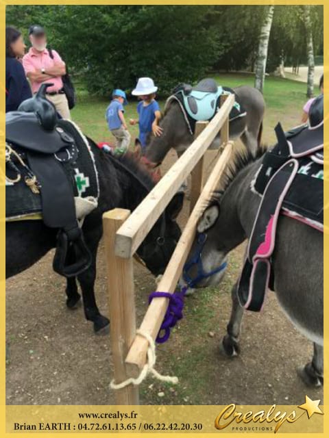 Location ane poney vidéos Mérignac