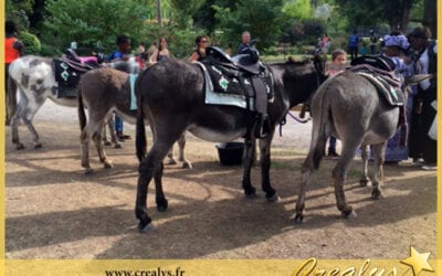 Location ane poney vidéos Bagnolet